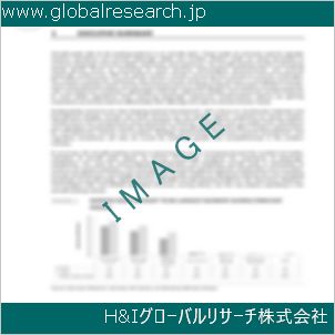 グローバルリサーチ調査資料のイメージ